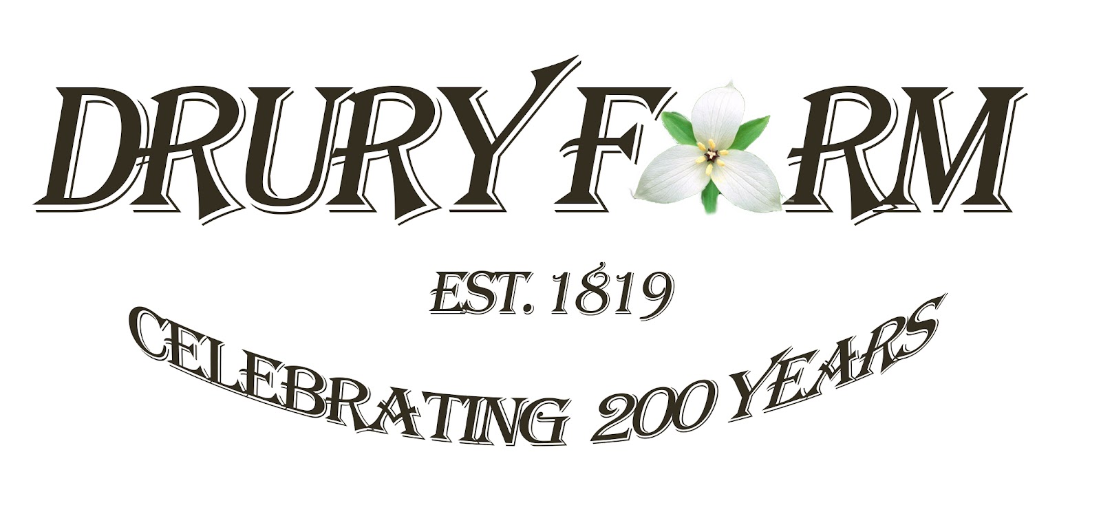 Celebration Photo 71