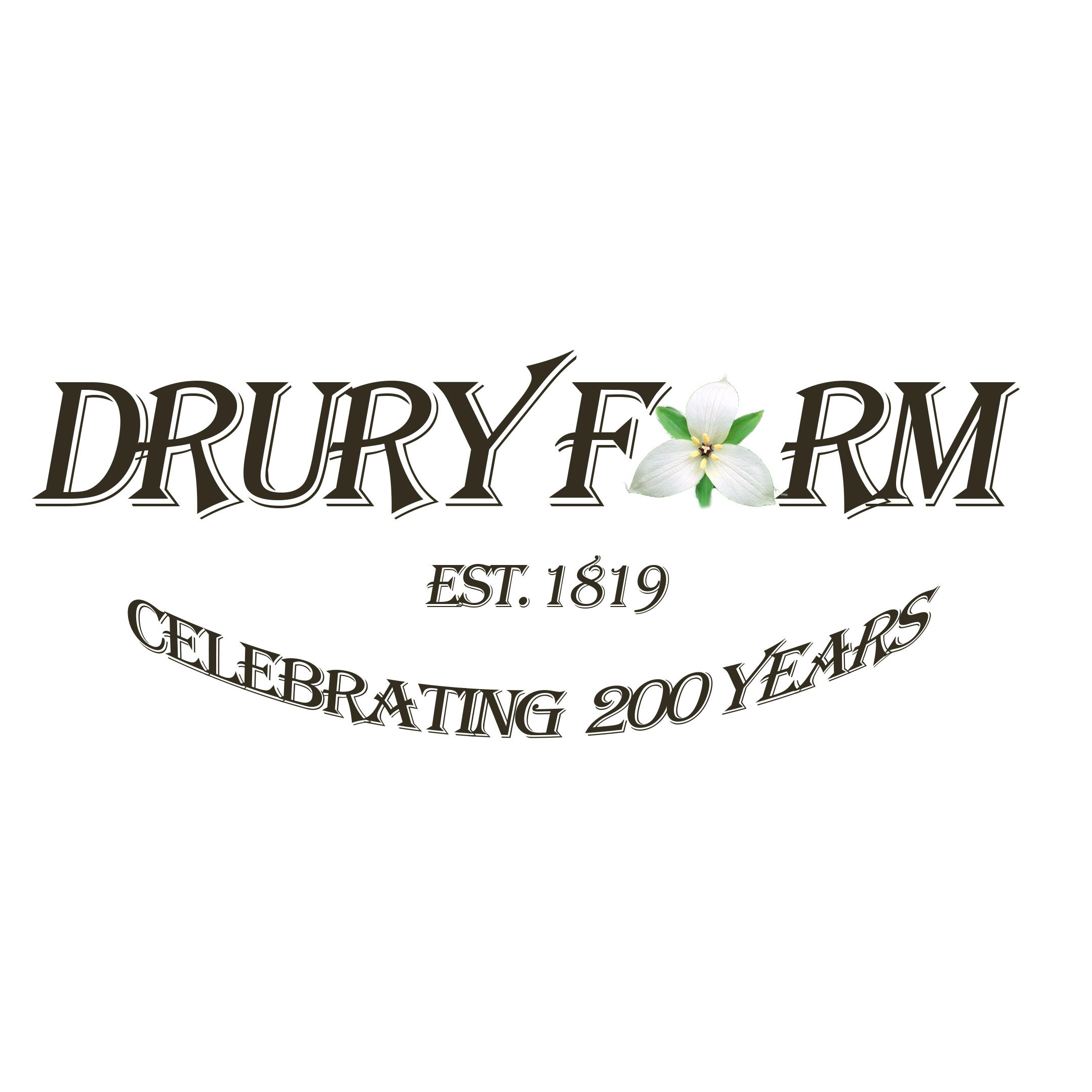 Celebration Photo 73