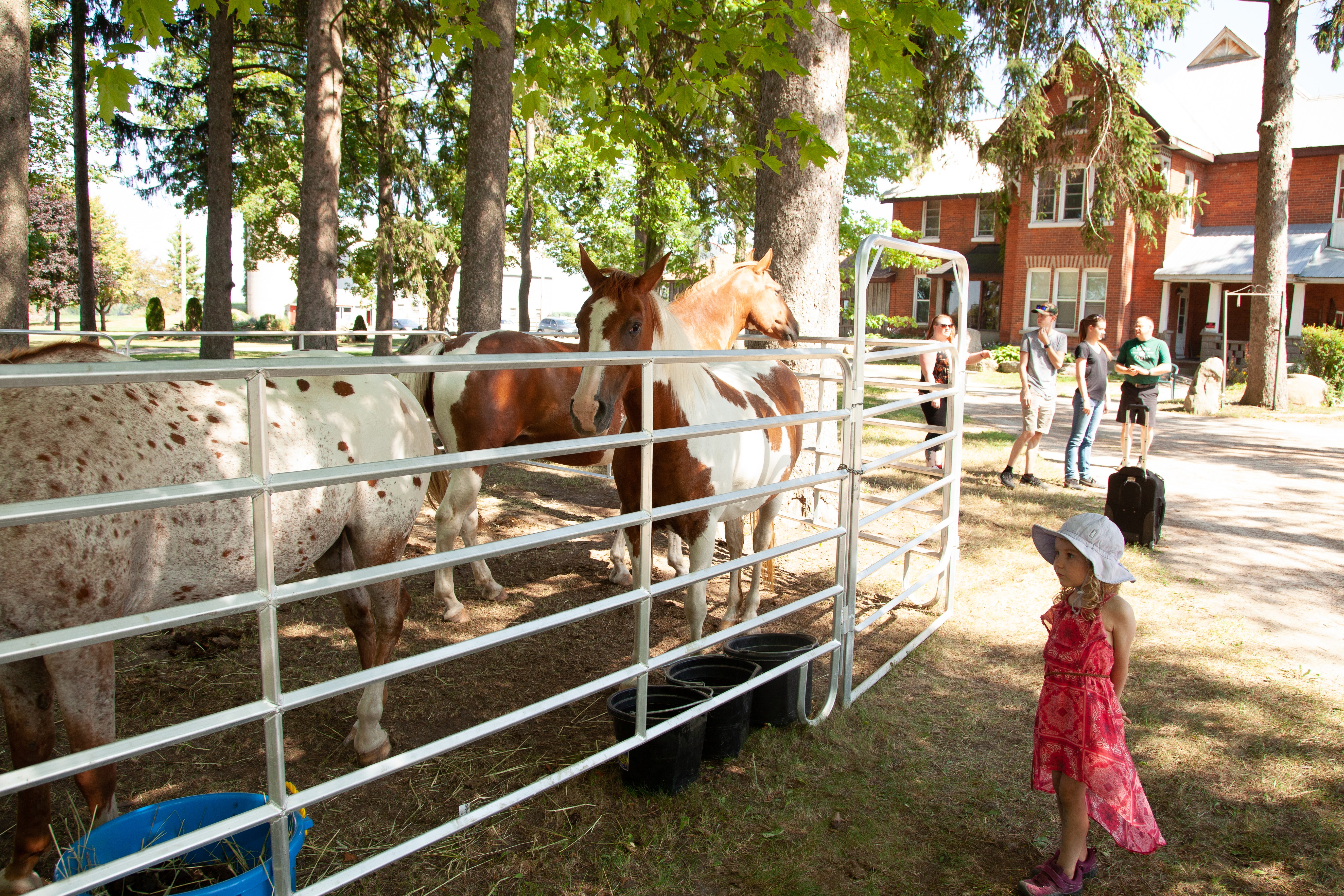 Celebration Photo 77