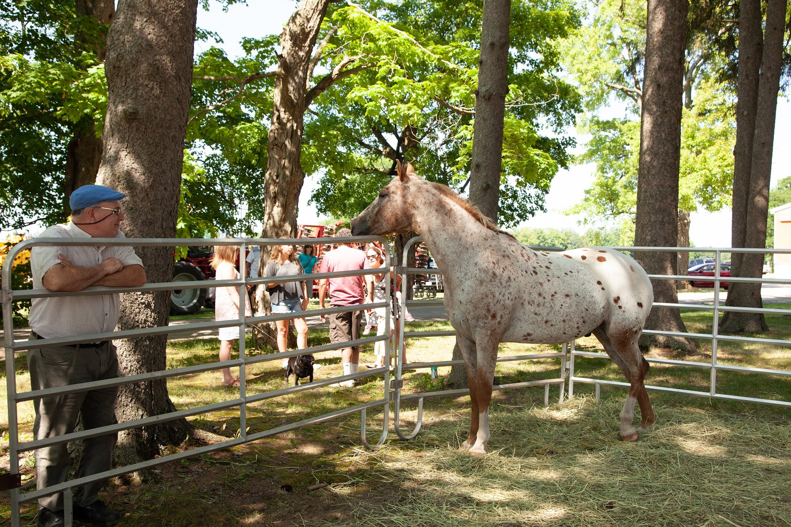 Celebration Photo 87