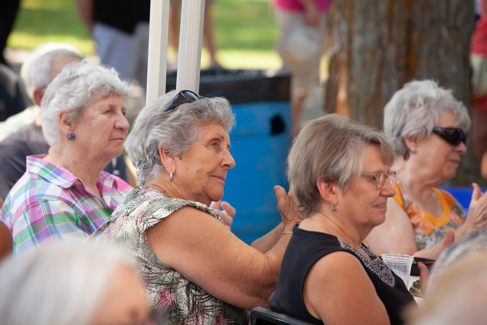 Celebration Photo 88