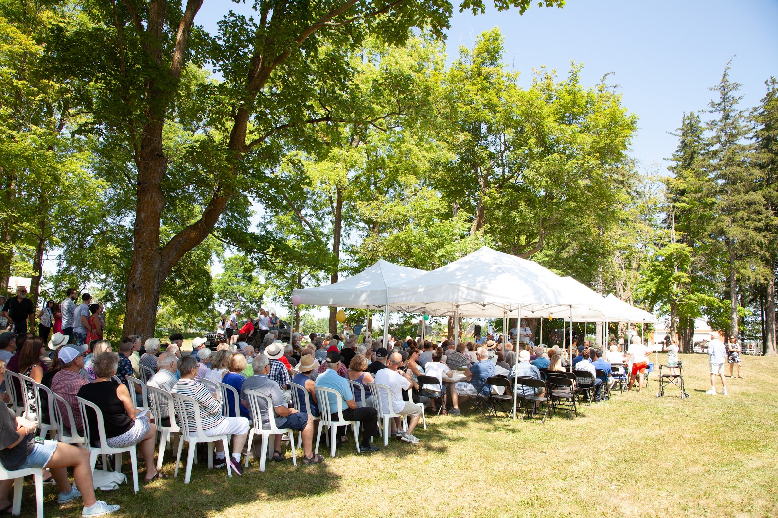 Celebration Photo 98