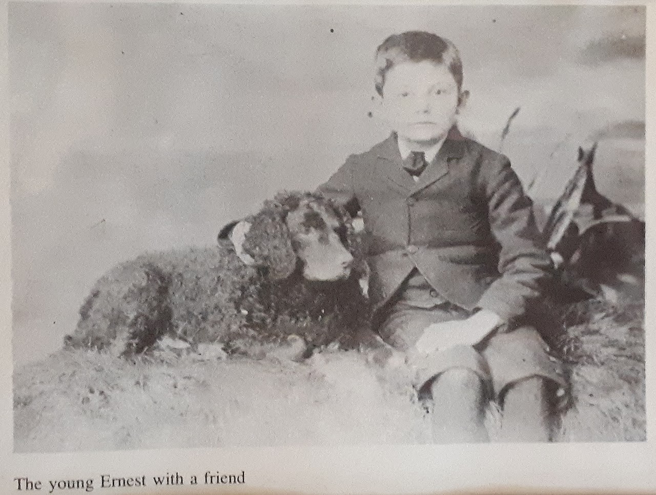 Drury Family Historical Photo 14